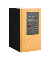 2.4G网络多媒体教学音箱 &nbsp;WZY-3028M