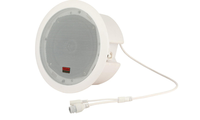 经济型网络天花喇叭 &nbsp;WZY-3026