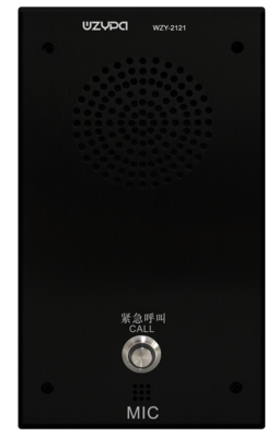 IP一键对讲终端WZY-2121